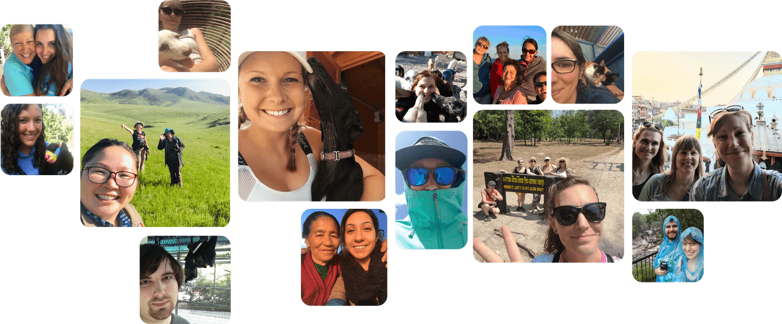 Animal Experience International